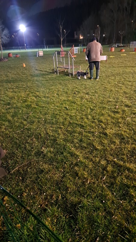 nyssen uploaded   1 year/s ago