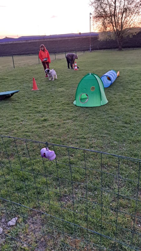 nyssen uploaded   1 year/s ago