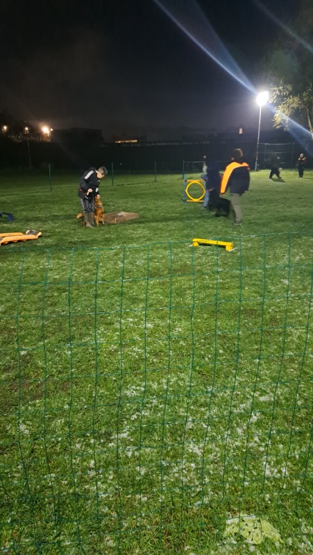 nyssen uploaded   17  day/s  ago