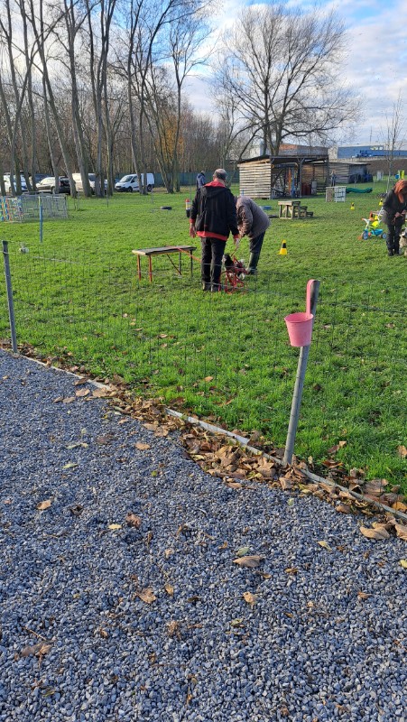 nyssen uploaded   130  day/s  ago