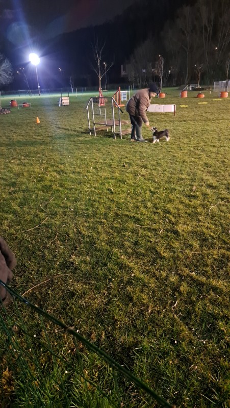 nyssen uploaded   1 year/s ago