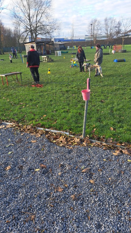 nyssen uploaded   130  day/s  ago