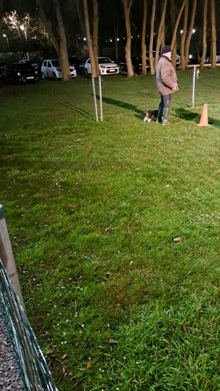 nyssen uploaded   1 year/s ago