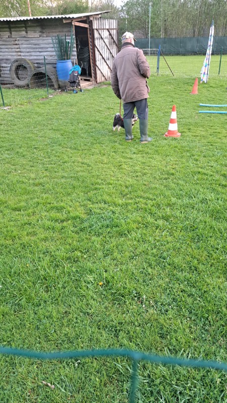 nyssen uploaded   1 year/s ago