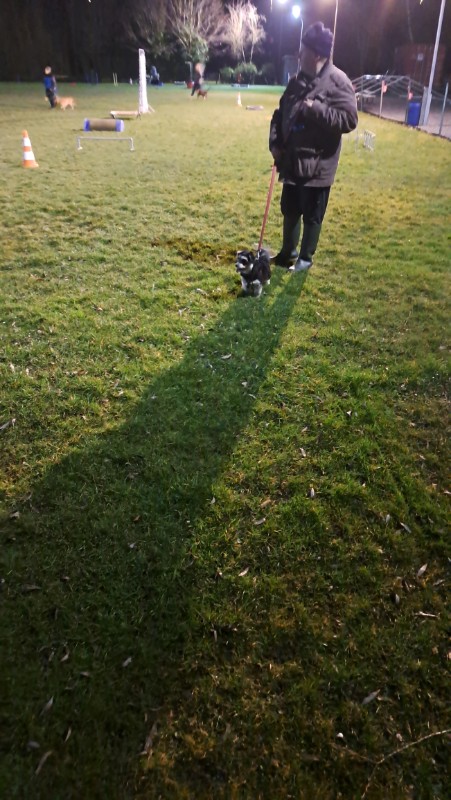 nyssen uploaded   1 year/s ago