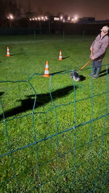 nyssen uploaded   1 year/s ago