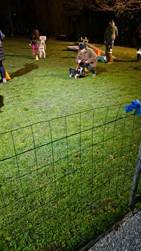 nyssen uploaded   1 year/s ago