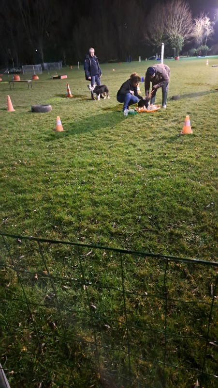 nyssen uploaded   1 year/s ago