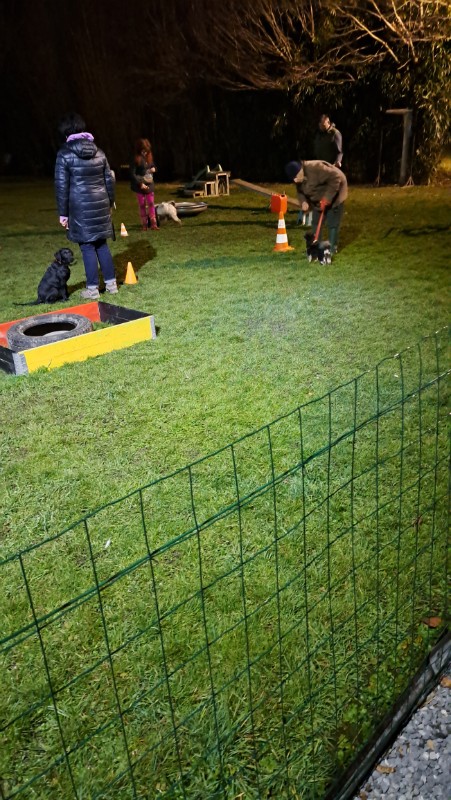 nyssen uploaded   1 year/s ago