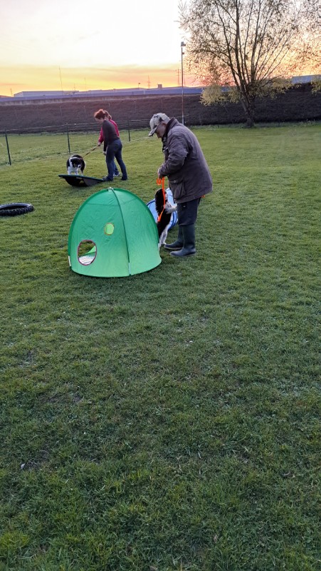 nyssen uploaded   1 year/s ago