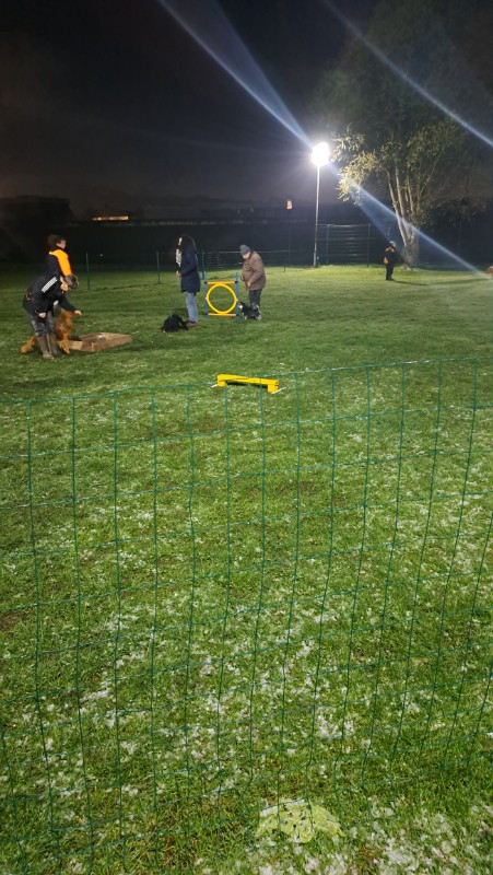 nyssen uploaded   17  day/s  ago