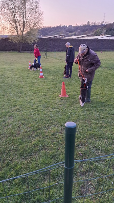 nyssen uploaded   1 year/s ago