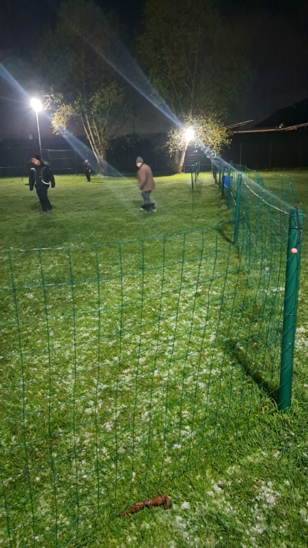 nyssen uploaded   17  day/s  ago