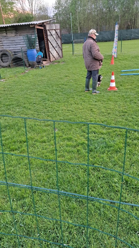 nyssen uploaded   1 year/s ago