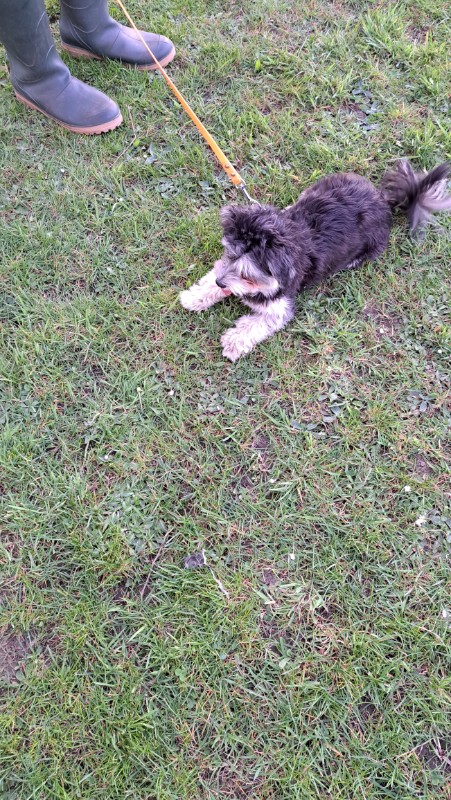 nyssen uploaded   1 year/s ago