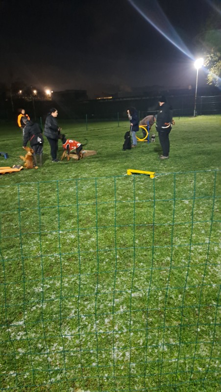 Vénus of the nyssen family