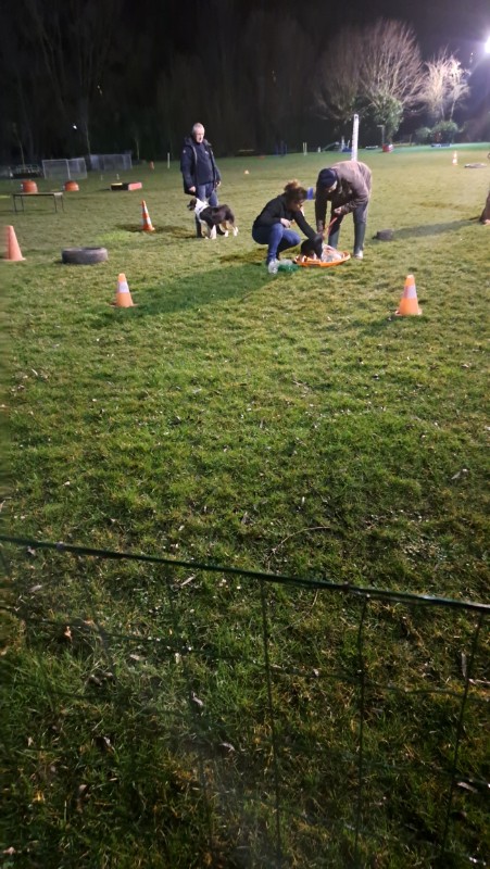 nyssen uploaded   1 year/s ago