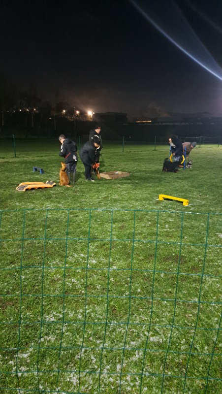 Vénus of the nyssen family