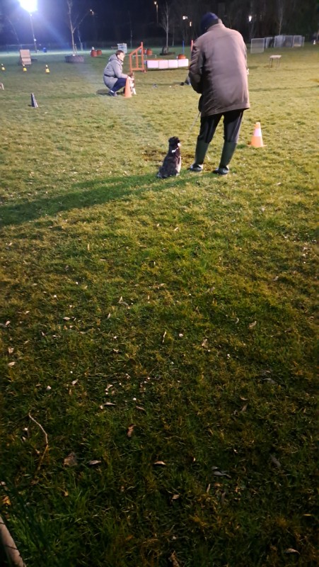 nyssen uploaded   1 year/s ago