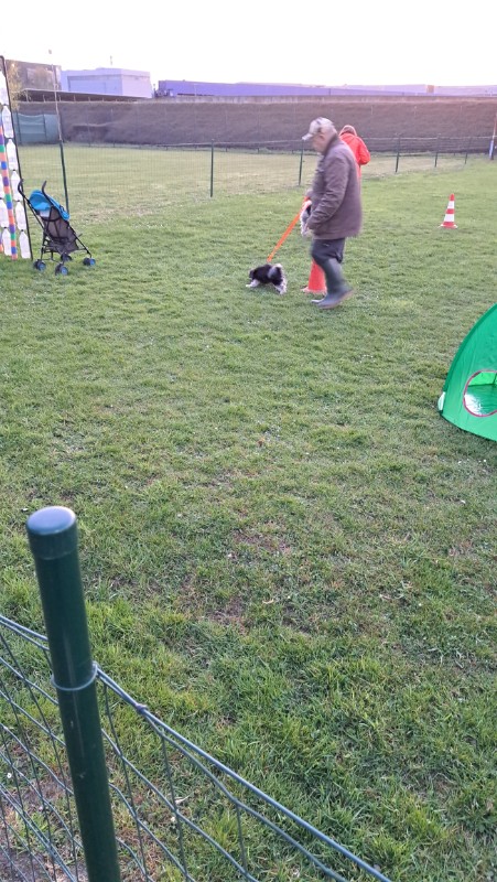 nyssen uploaded   1 year/s ago