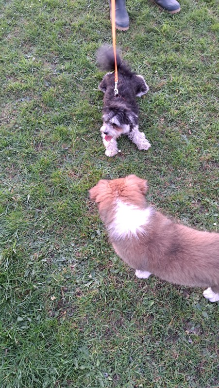 nyssen uploaded   1 year/s ago