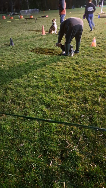 nyssen uploaded   1 year/s ago