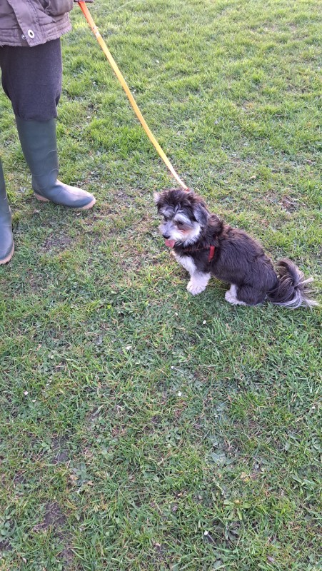 nyssen uploaded   1 year/s ago