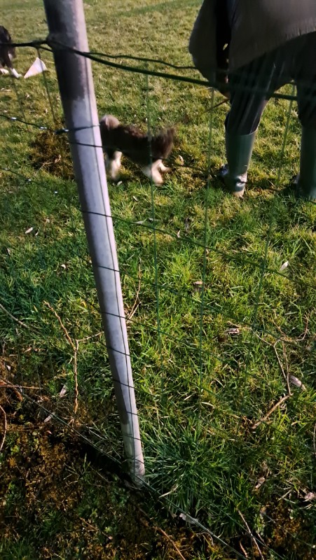 nyssen uploaded   1 year/s ago