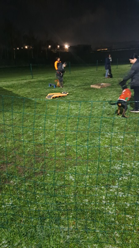 nyssen uploaded   17  day/s  ago