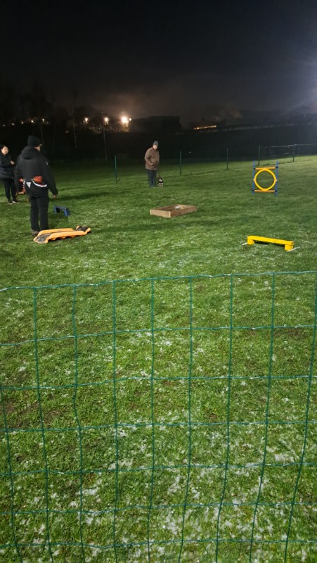 Vénus of the nyssen family