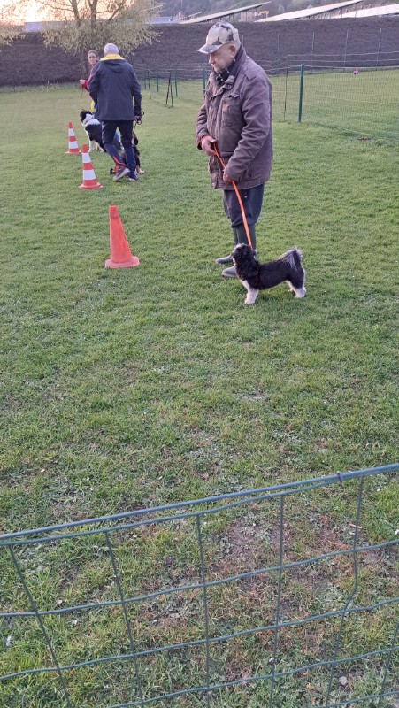 nyssen uploaded   1 year/s ago