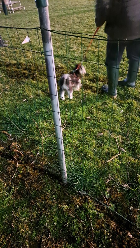 nyssen uploaded   1 year/s ago