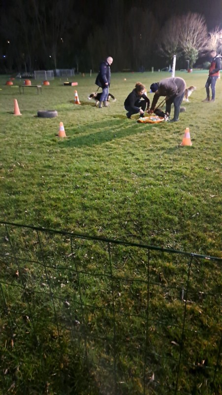 nyssen uploaded   1 year/s ago