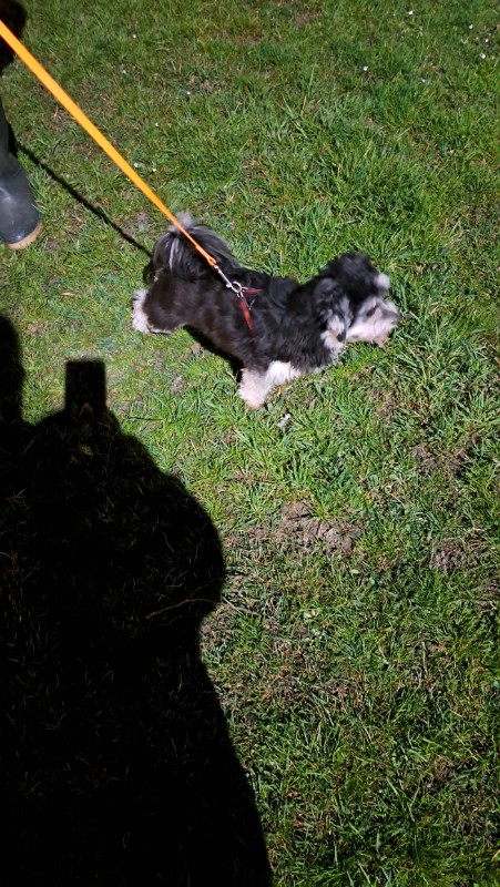 nyssen uploaded   1 year/s ago