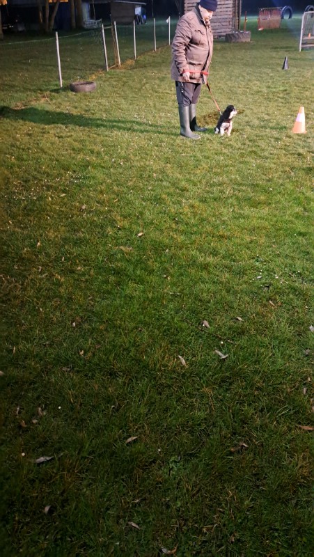 nyssen uploaded   1 year/s ago