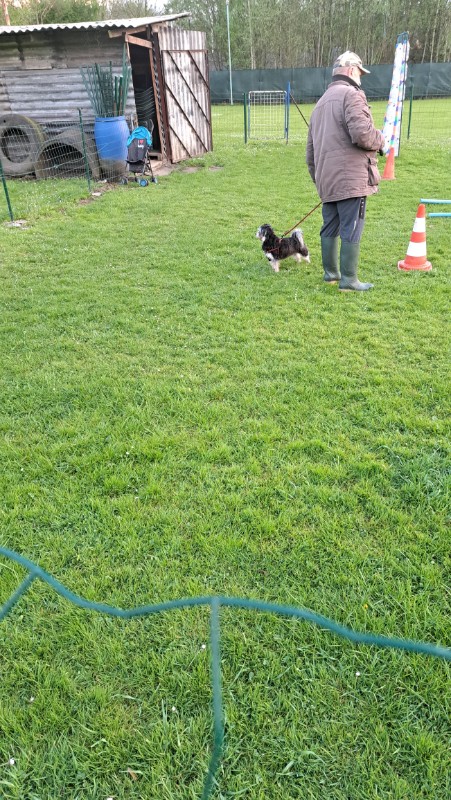 nyssen uploaded   1 year/s ago