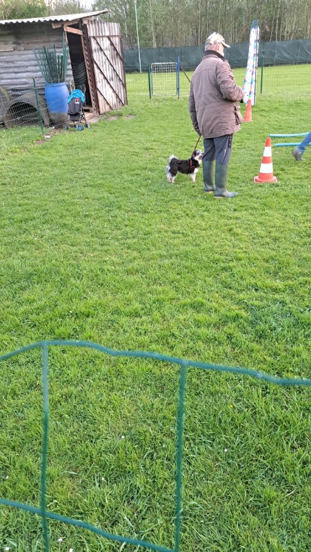 nyssen uploaded   1 year/s ago