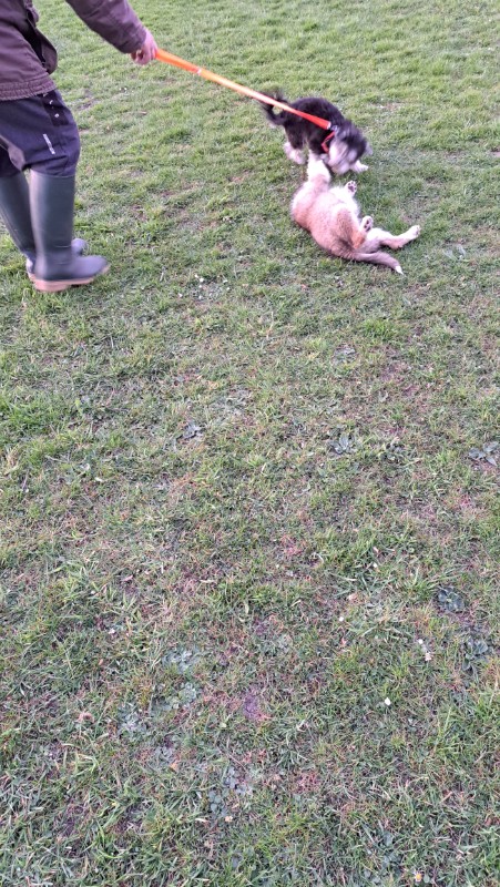 nyssen uploaded   1 year/s ago