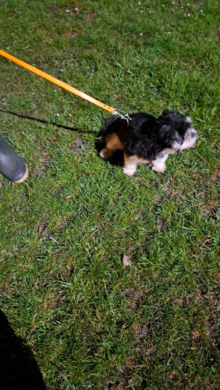 nyssen uploaded   1 year/s ago