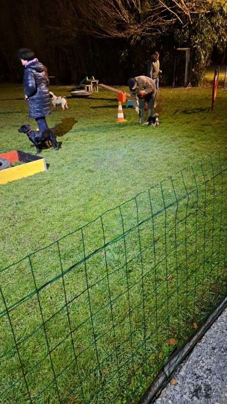 nyssen uploaded   1 year/s ago