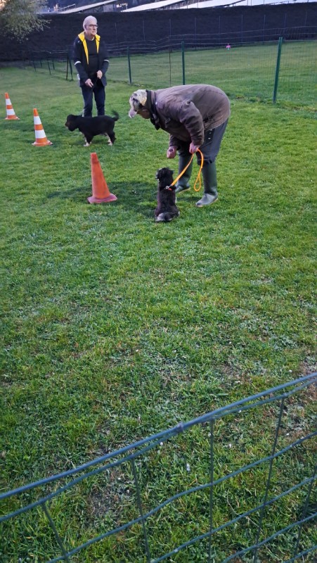 nyssen uploaded   1 year/s ago