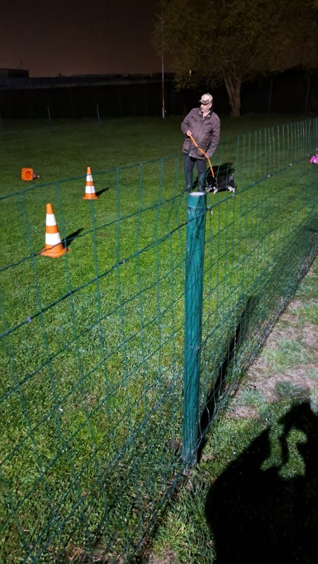 nyssen uploaded   1 year/s ago