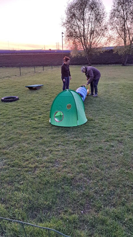 nyssen uploaded   1 year/s ago