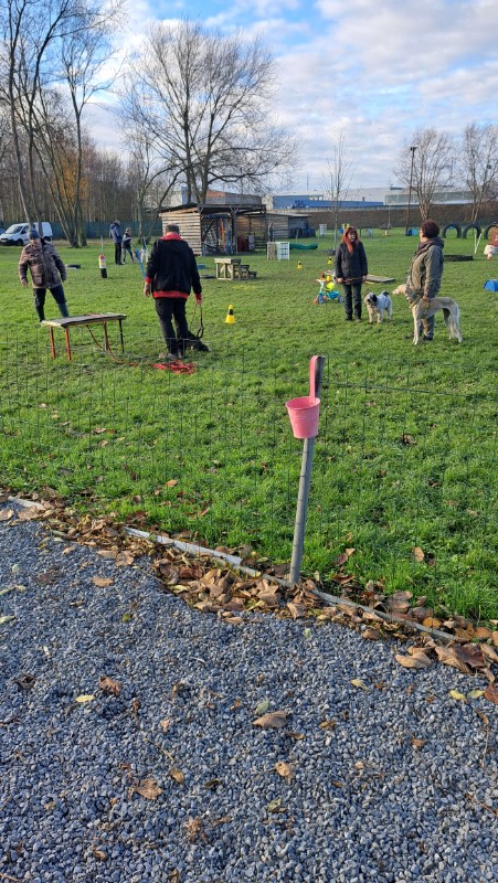 nyssen uploaded   130  day/s  ago