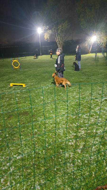 Vénus of the nyssen family