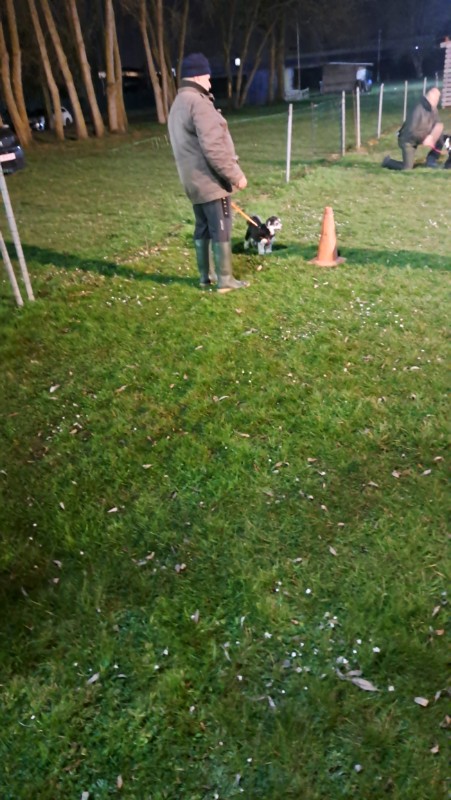 nyssen uploaded   1 year/s ago