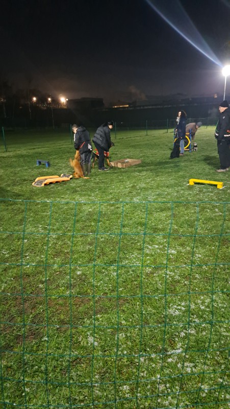 Vénus of the nyssen family