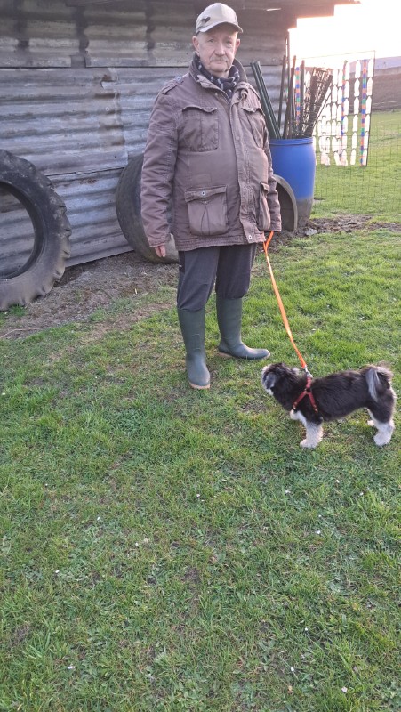 nyssen uploaded   1 year/s ago