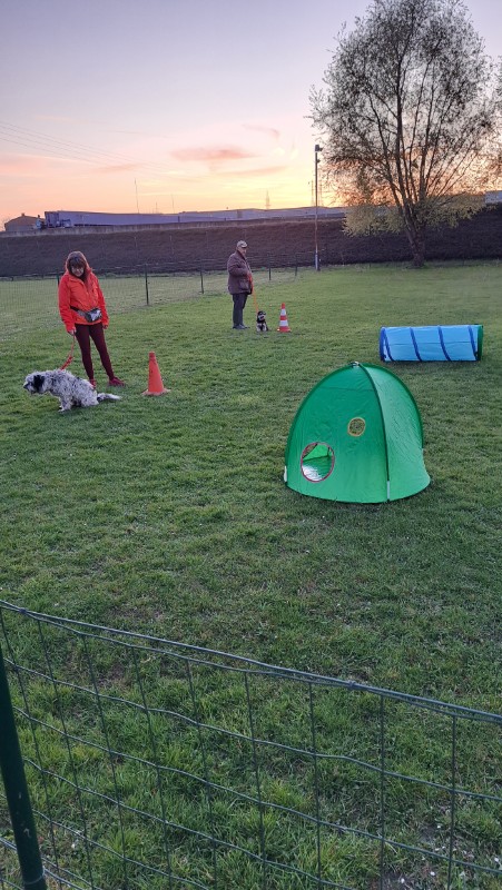 nyssen uploaded   1 year/s ago