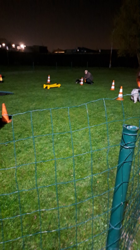 nyssen uploaded   1 year/s ago